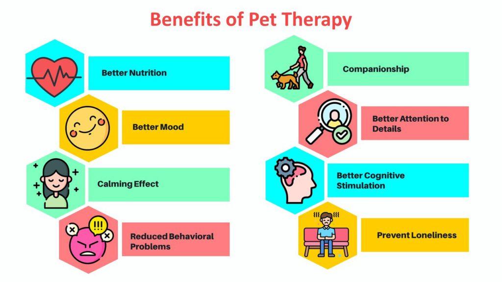 pet therapy senior living
