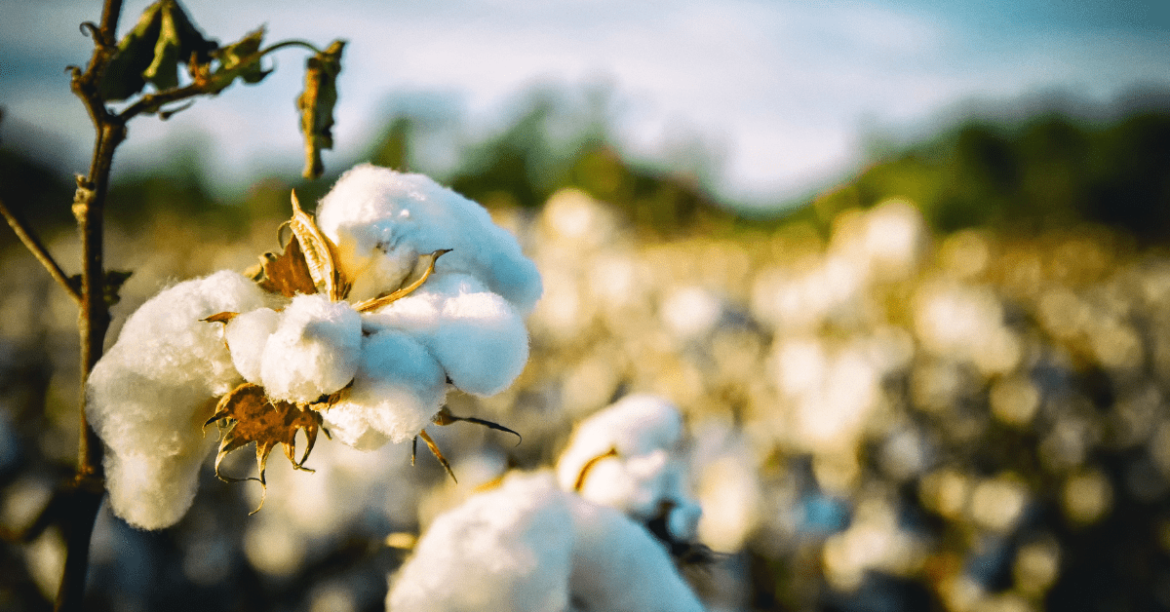 retirement communities in Alabama