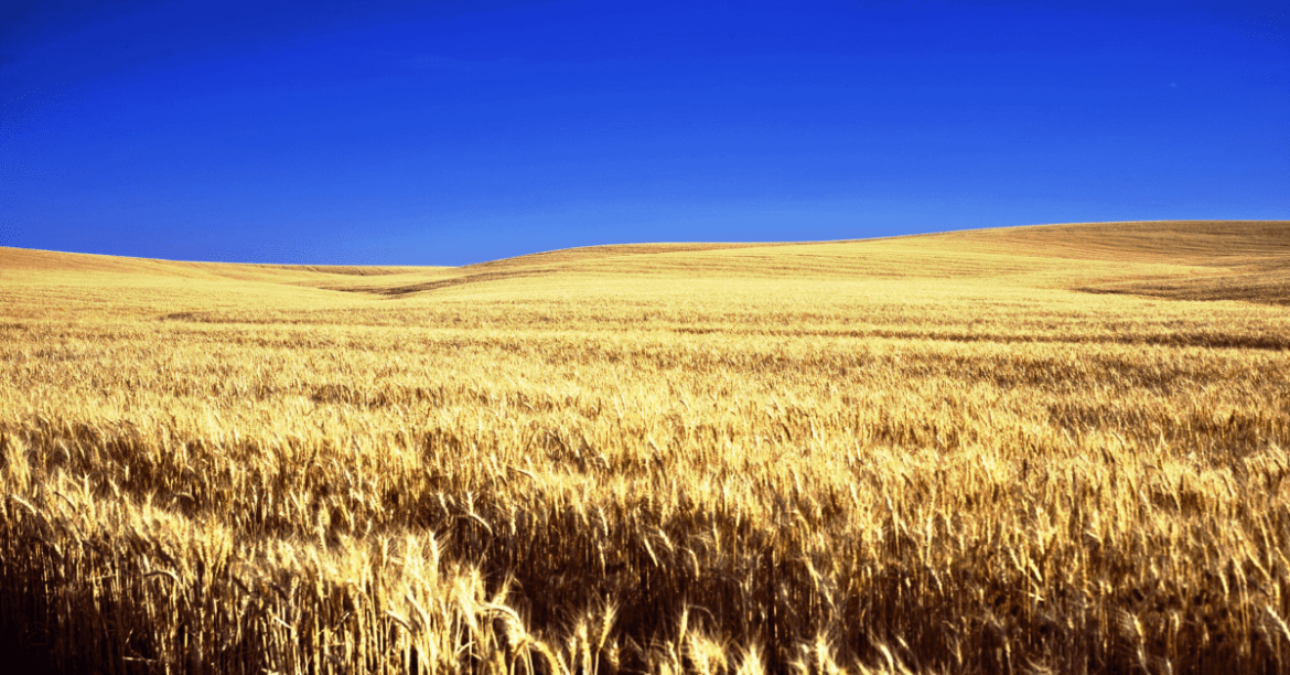 Best places to live in Kansas