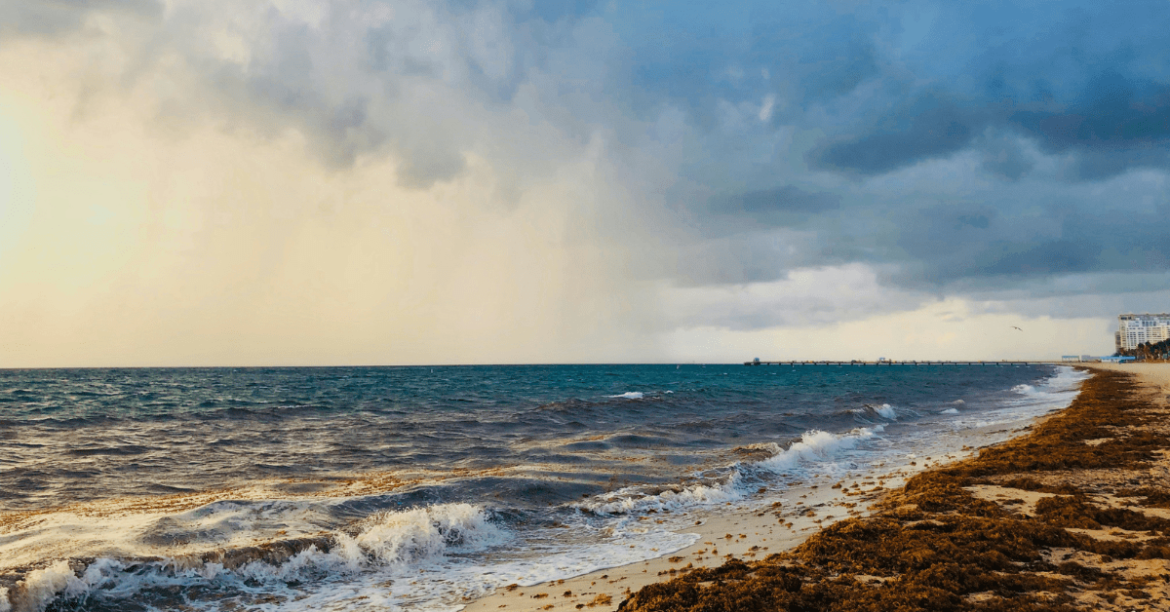 Living in Fort Lauderdale