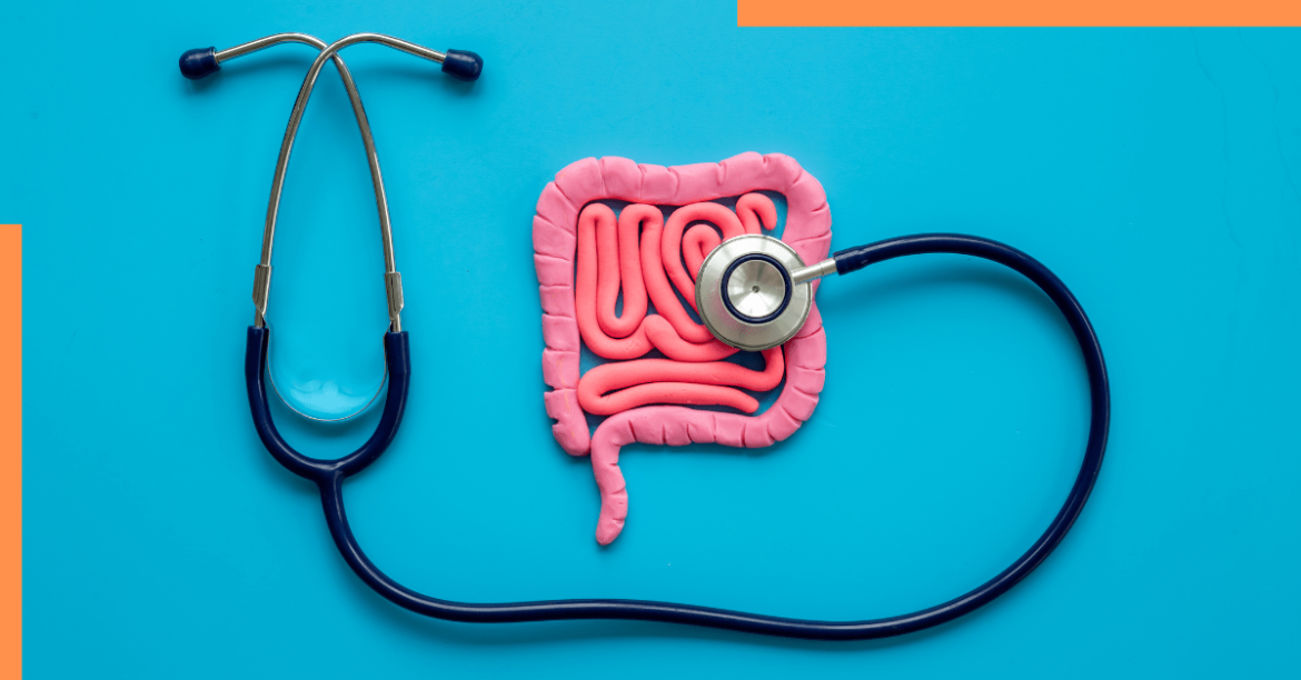 gut health diet plan